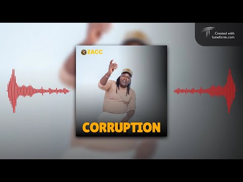 Chief Shumba Hwenje - Corruption