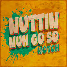 Sean Paul – Nuttin No Go So
