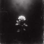 Urban Chords – He Did It Again