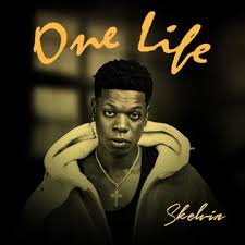 Skelvin – One Life